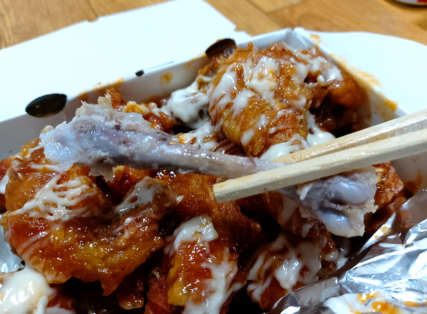 발라진 뼈 깔끔하게 발라진 뼈