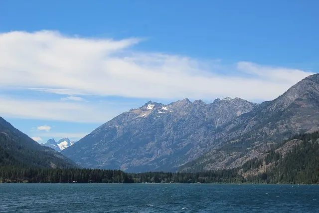 북서향 창문 식물 선택 저광량관리 물주기 식물등 세팅 가이드_7