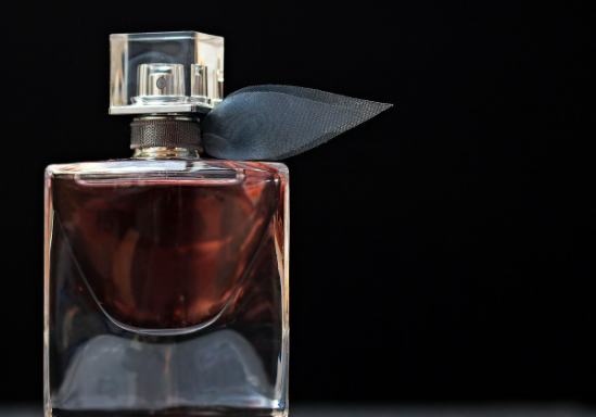 코끝에서 뇌로 가는 고속도로: 향기가 기억과 감정을 지배하는 뇌과학적 이유