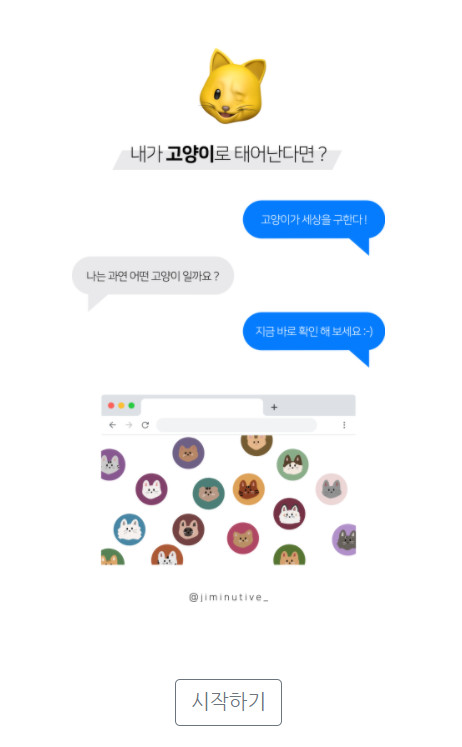 고양이 mbti