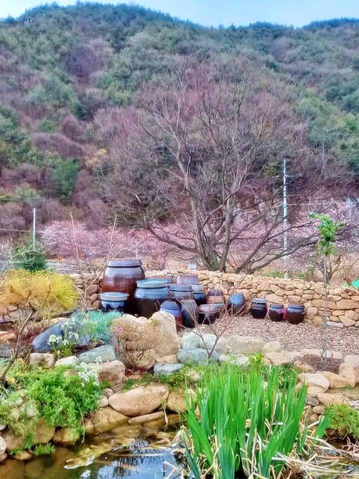 부부별곡 시인 아내 목수 남편 경북 청도 황토방 민박 촌캉스 펜션 예약 꽃차 산야초 차 발효액 온라인 전화 주문 파는 곳