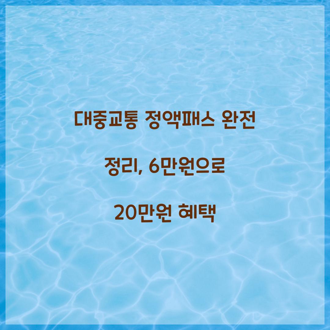대중교통 정액패스