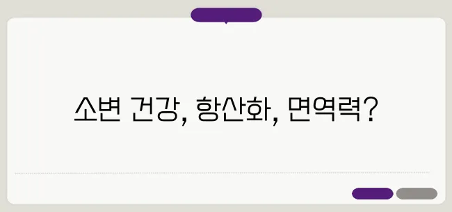 크랜베리의 효능 이보다 자세히 설명할순없다