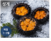 전남 여수 제철 수산물 재근호