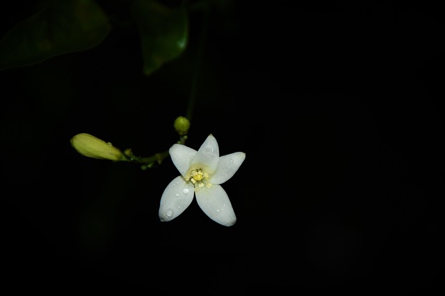 통신비 환급금 조회 안되면 어떻게 하나요