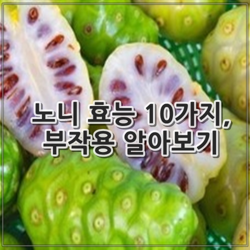 노니 효능 10가지, 부작용 알아보기