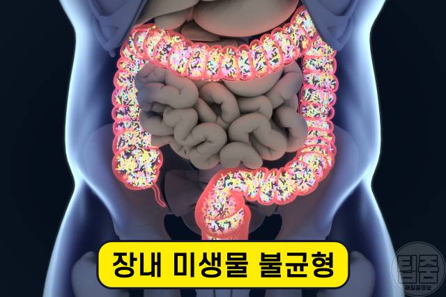 딸기 효능,장내 미생물 다이어트,천연 주름개선 화장품
