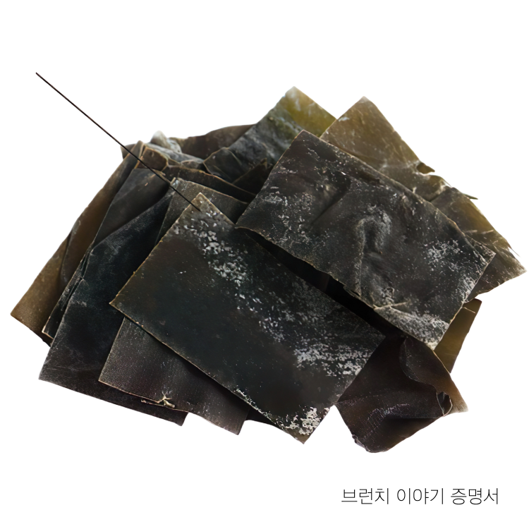 다시마