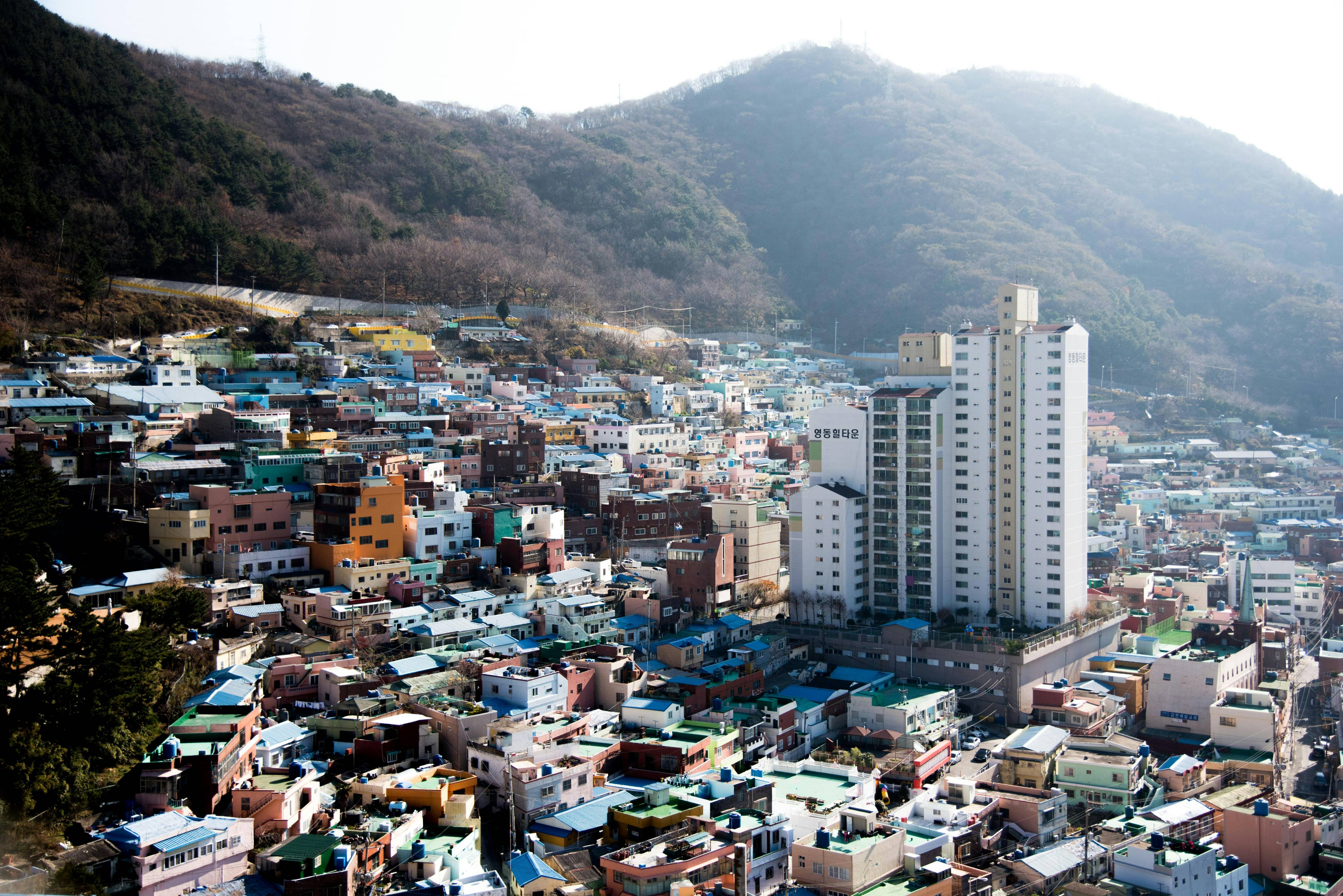한국 건물들