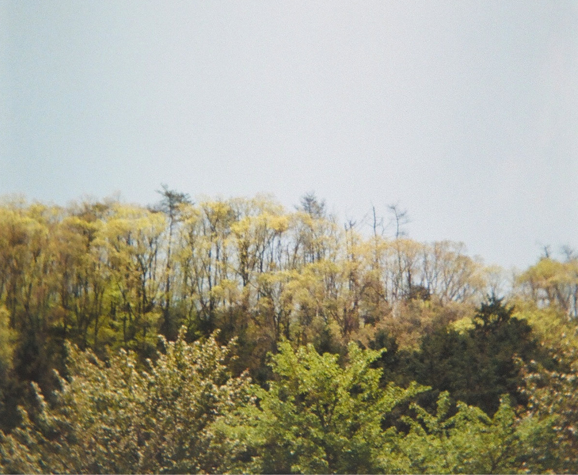 기억을 나누던 사람이 사라져서”