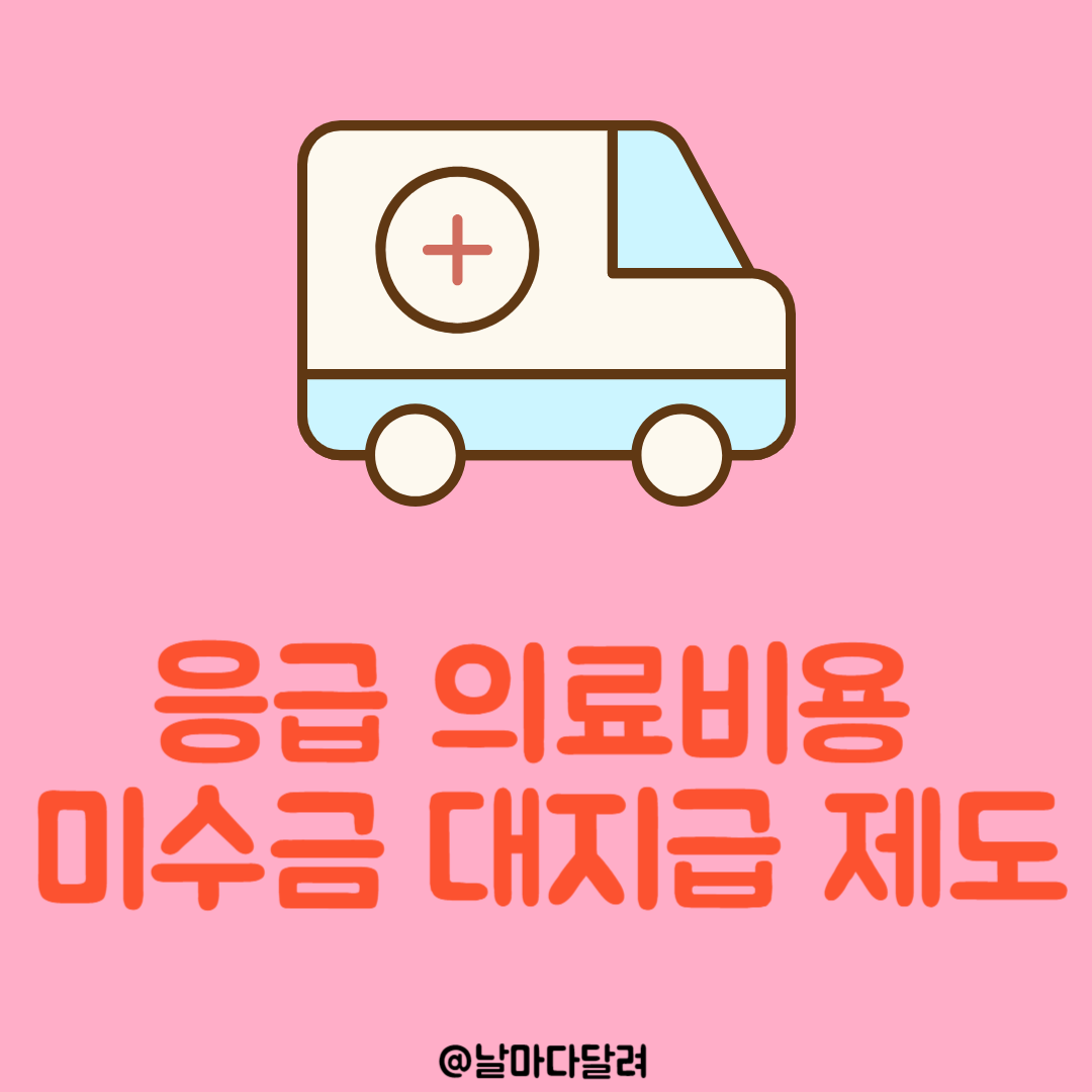 응급의료비용대지급제도