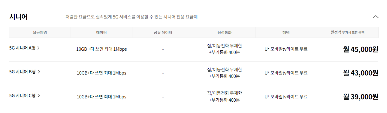 Alt 속성 문제 해결 설명 이미지