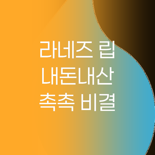 라네즈 립 슬리핑 마스크 EX, 내돈