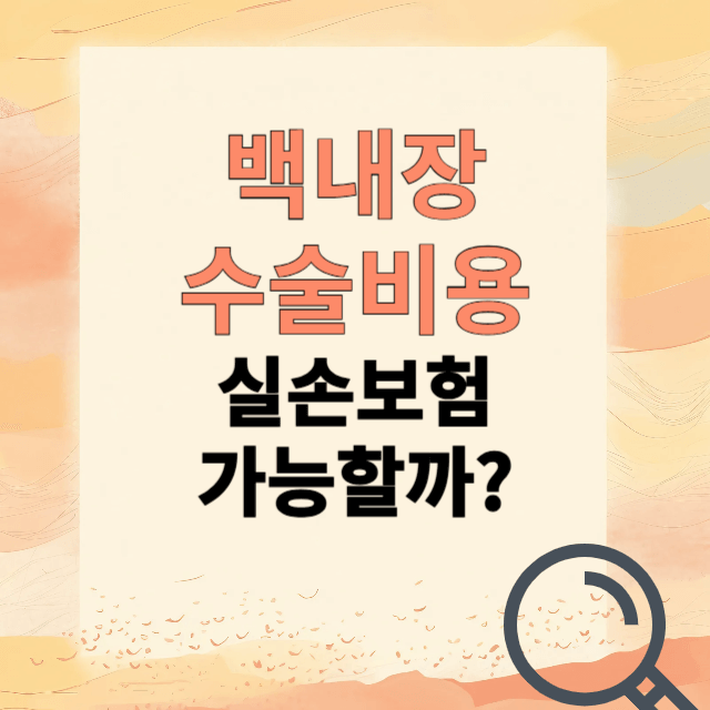 백내장 실비보험