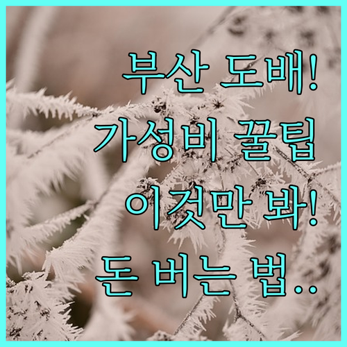 품질과 가격 모두 잡는 부산 도배업체..