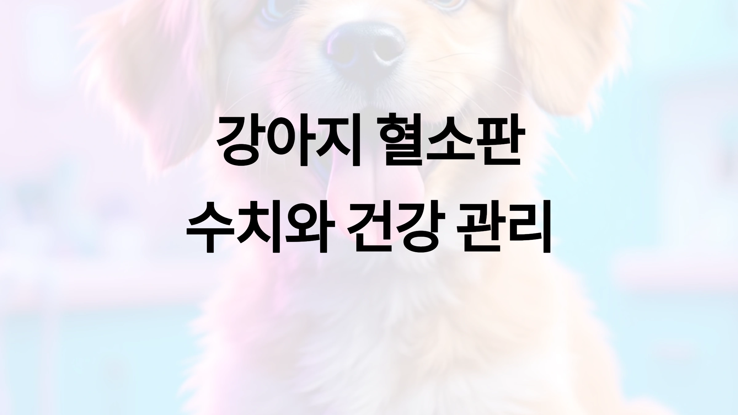 🐶 강아지 혈소판 수치와 건강 관리