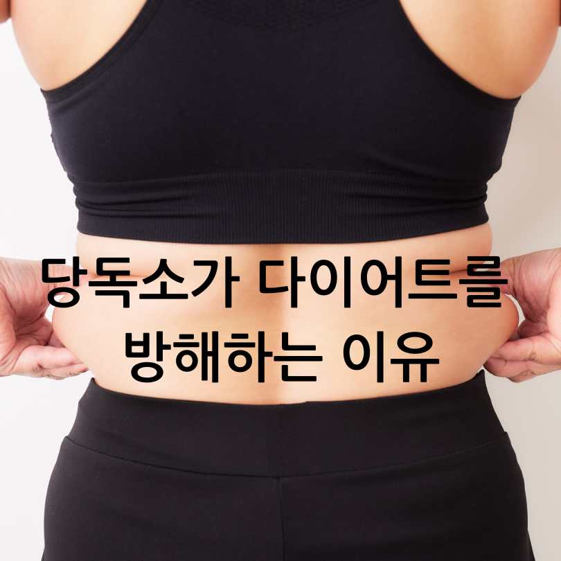 당독소다이어트