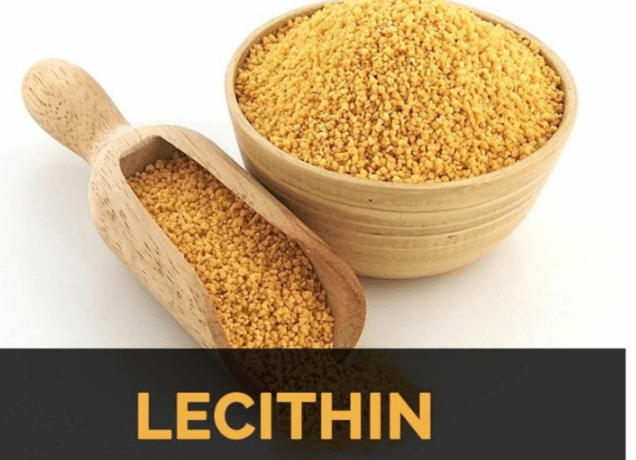 레시틴