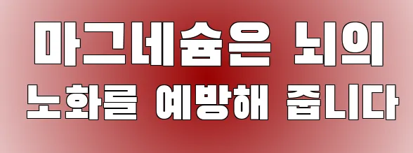 마그네슘은 뇌의 노화를 예방해 줍니다