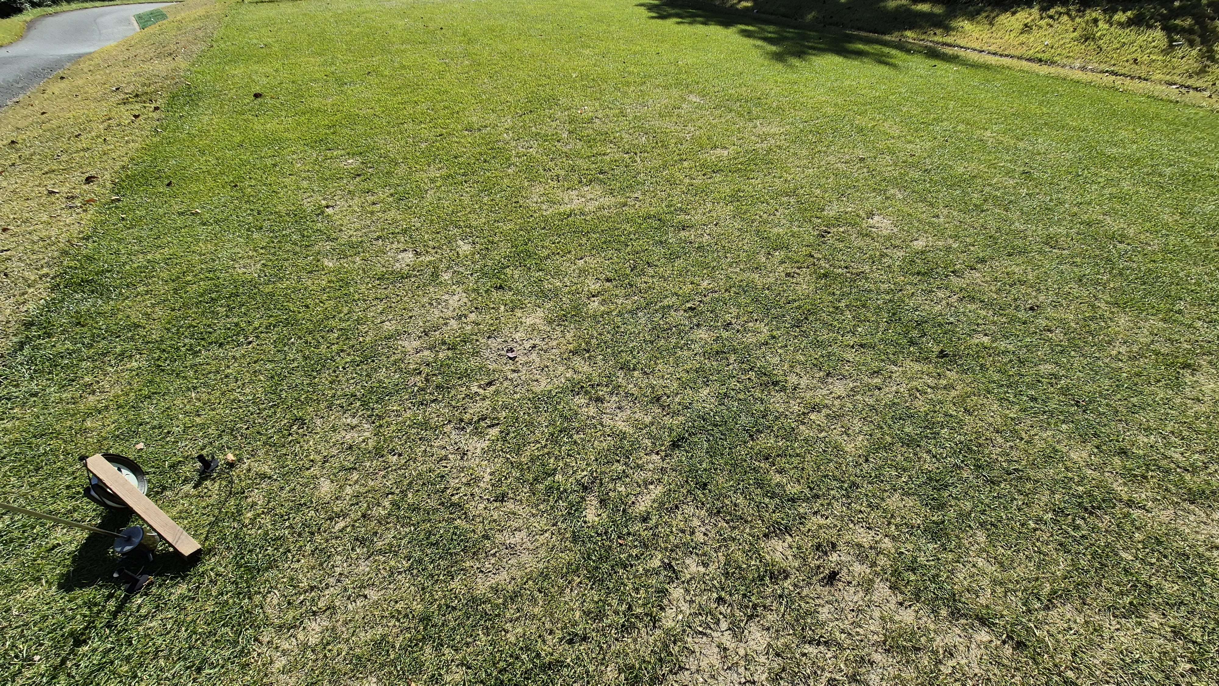 동촌gc 티잉구역 상태