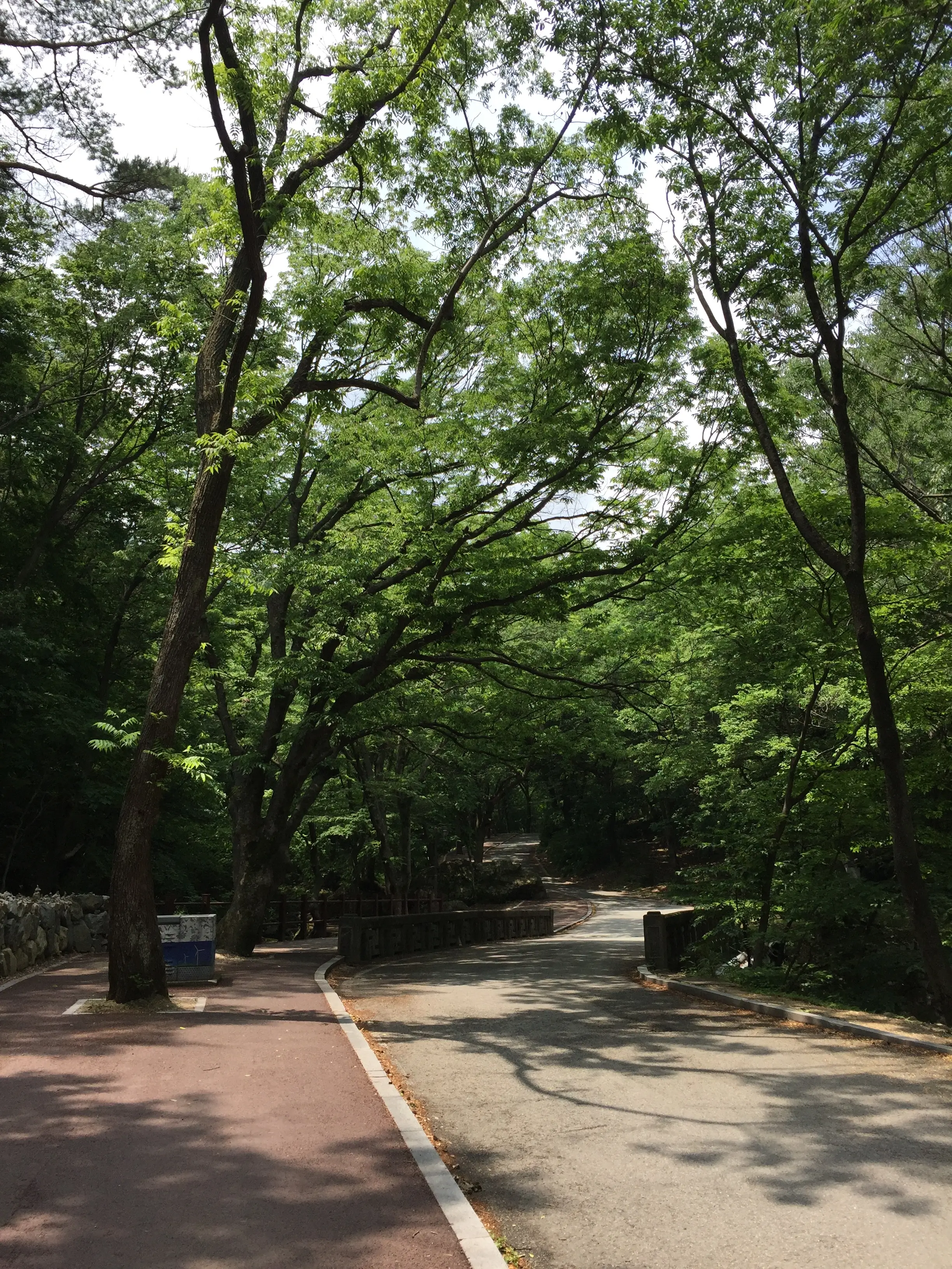 불교와 사회운동, 동학사 가는길