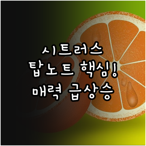 순간의 매력 탑노트: 짧은 발향을 이..