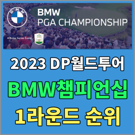 DP월드투어BWM챔피언십
