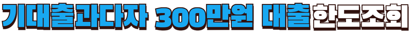 기대출과다자 300만원 추가대출 한도조회