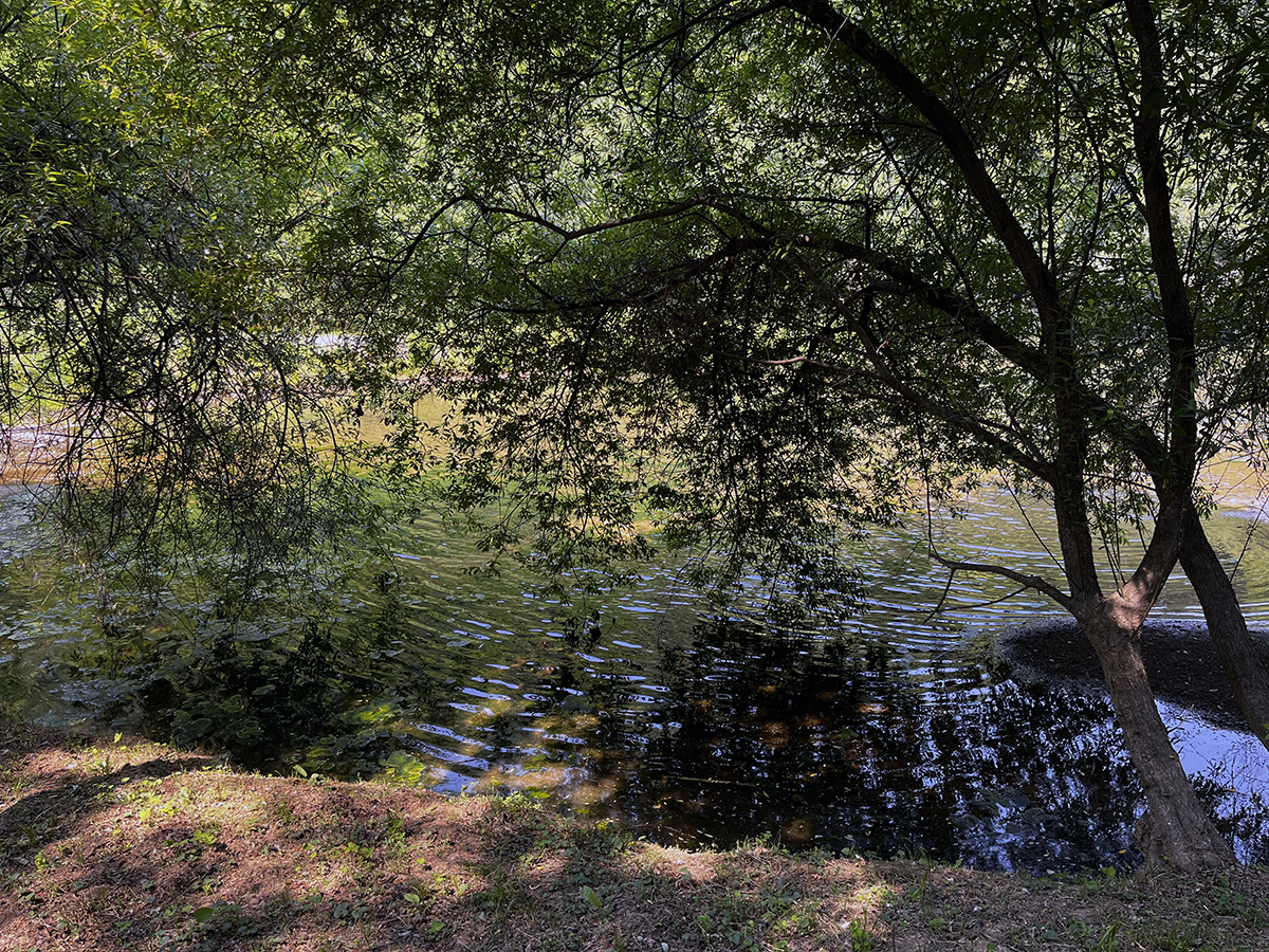 출렁다리를 지나 광장 방향으로.