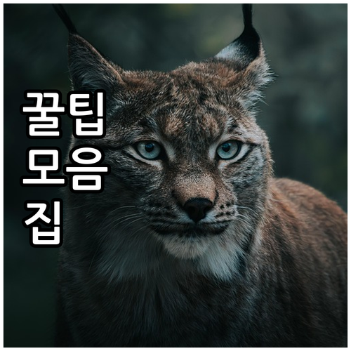 대형폐기물 온라인 신고 은평구 응암동..