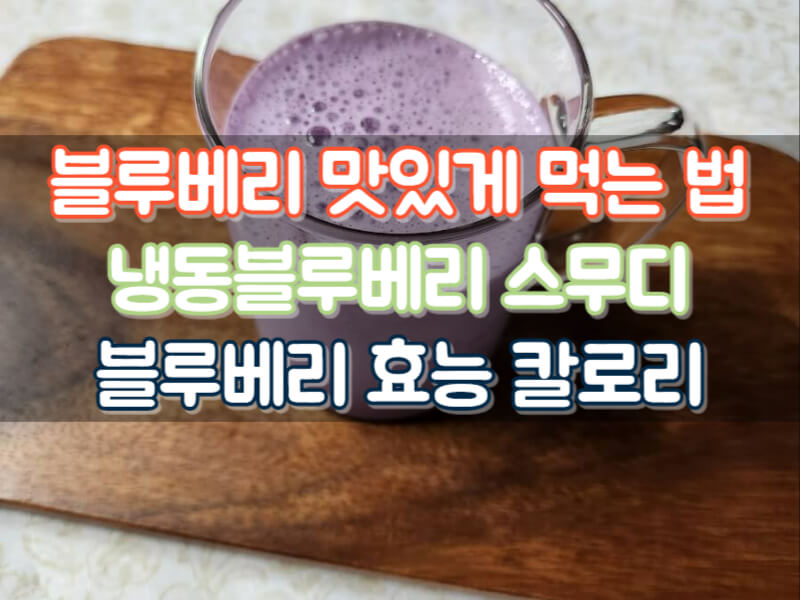 블루베리 효능 맛있게 먹는법 냉동블루베리 스무디 레시피