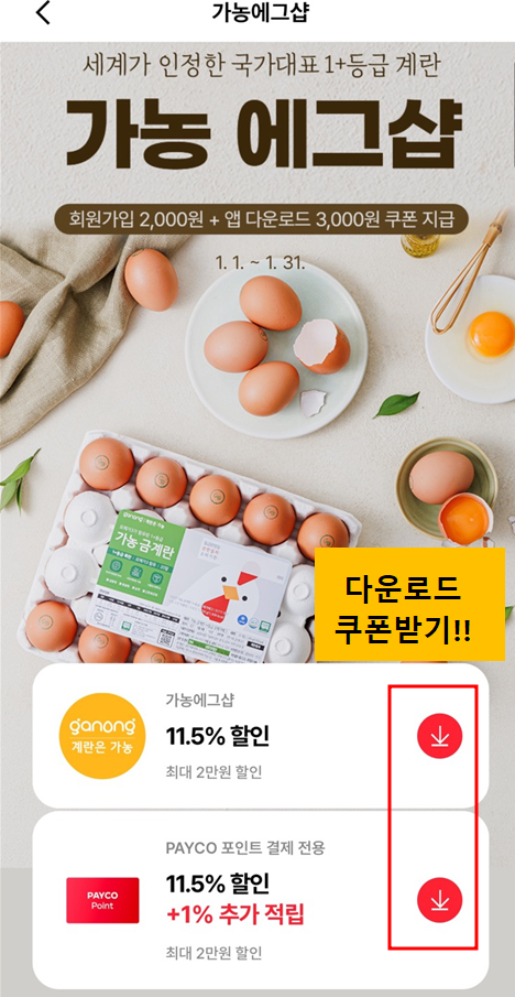 가농에그샵_페이코_구입2