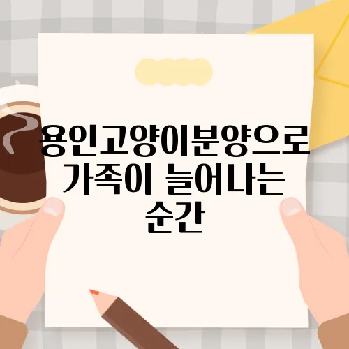 용인고양이분양으로 가족이 늘어나는 순간