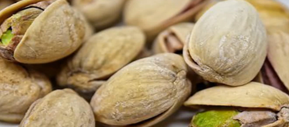 피스타치오의 효능