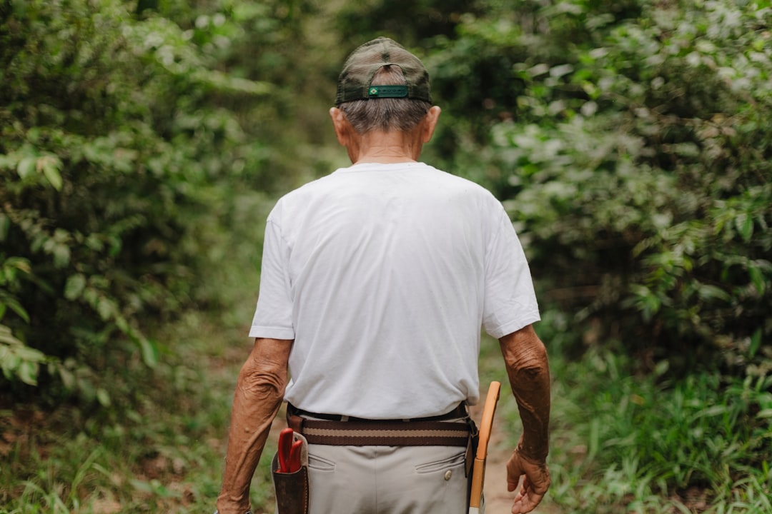 Survivor's pension