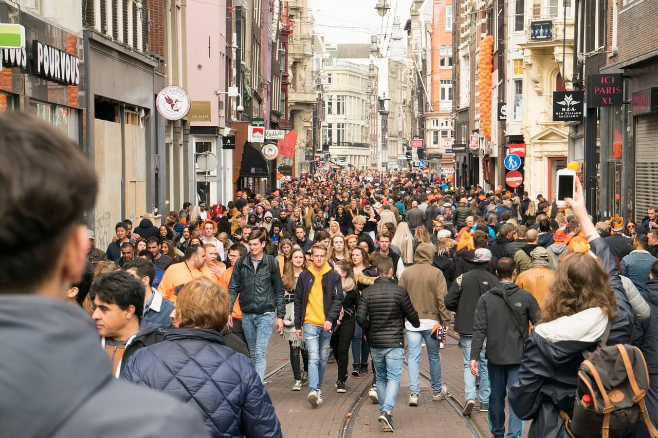 2025 보배섬 유채꽃축제에서 특별한 봄날을 보내세요