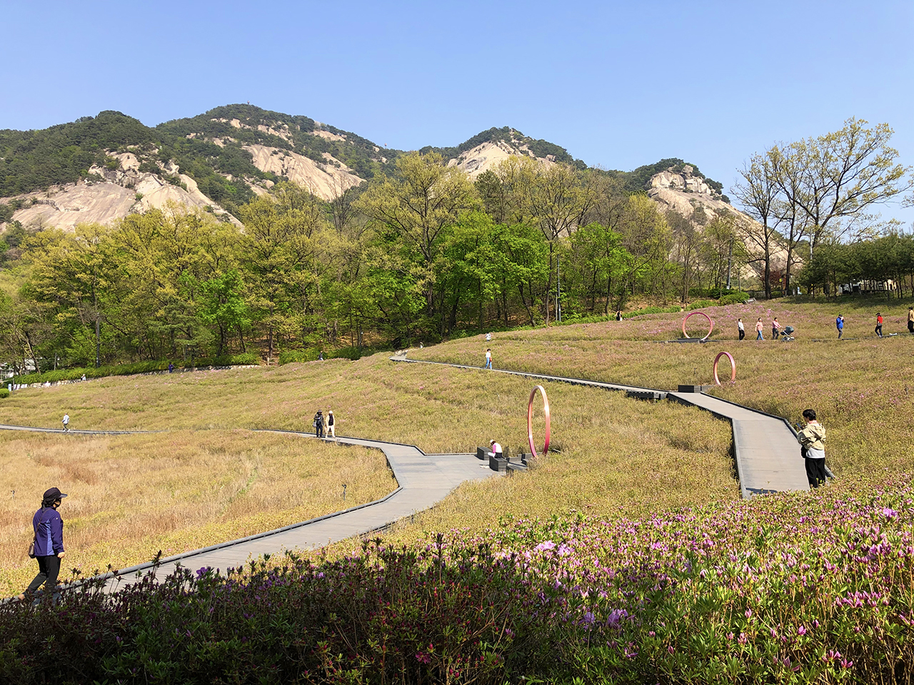 철쭉동산