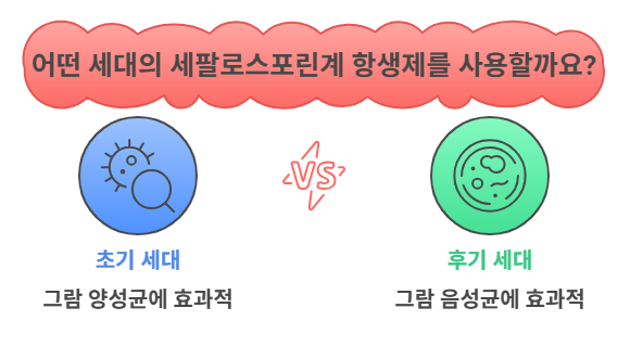 세팔로스포린 항생제 효과