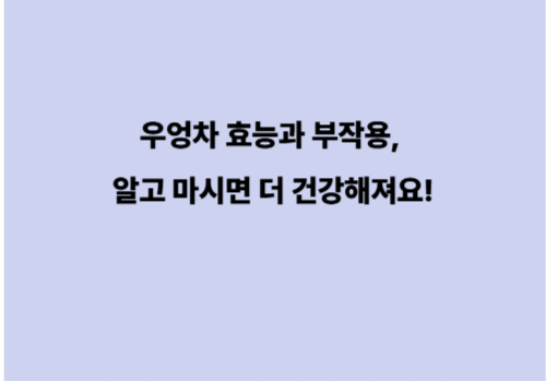 우엉차 효능과 부작용, 알고 마시면 더 건강해져요!