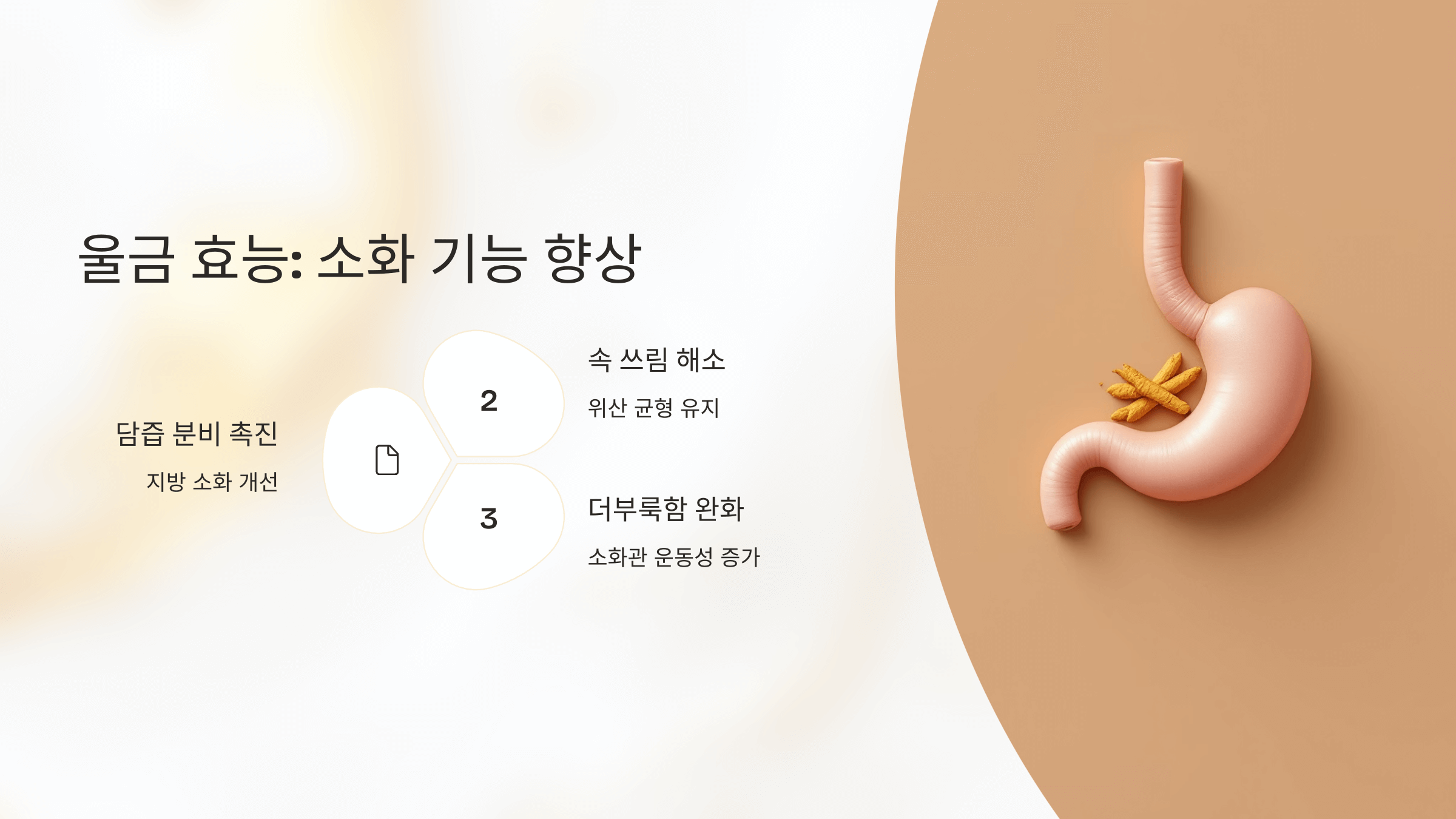 울금 사진입니다.