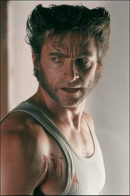 양모모발증후군(영화 '울버린' 헤어스타일)