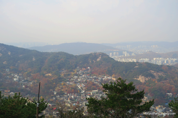 백악마루 뷰 3