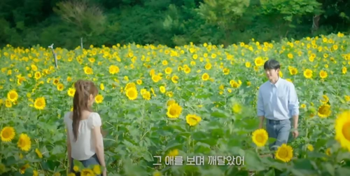 엄마친구아들 해바라기 꽃밭 촬영장소