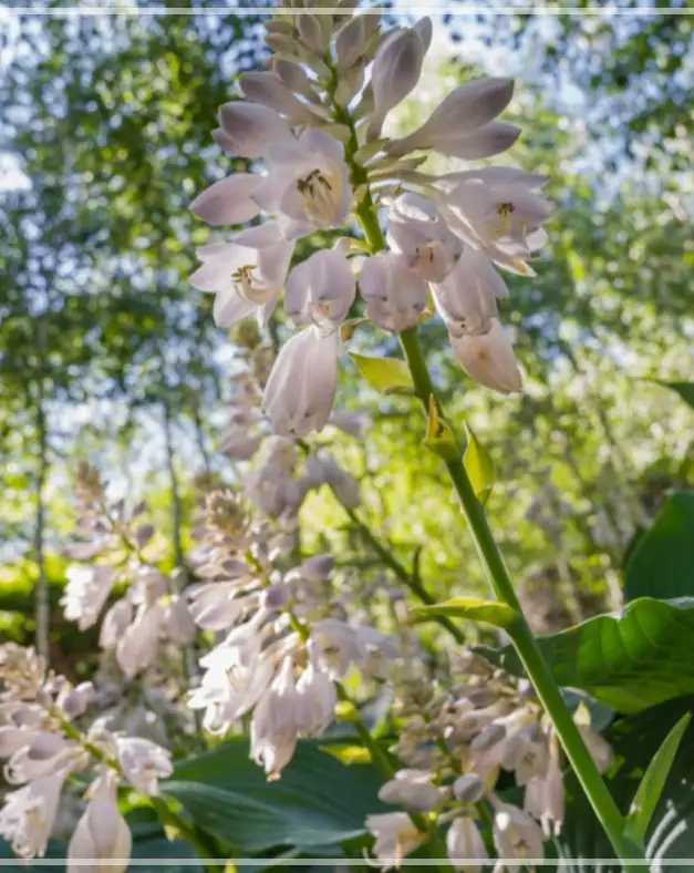 화담숲-예약하기-입장료-운영시간