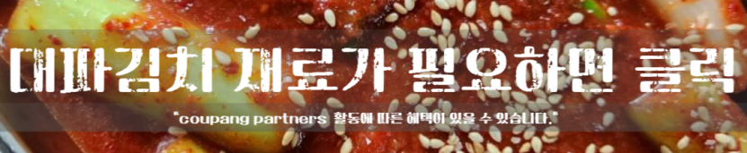 대파김치 담그는 법 대파절이기 김치 양념장 레시피 만들기