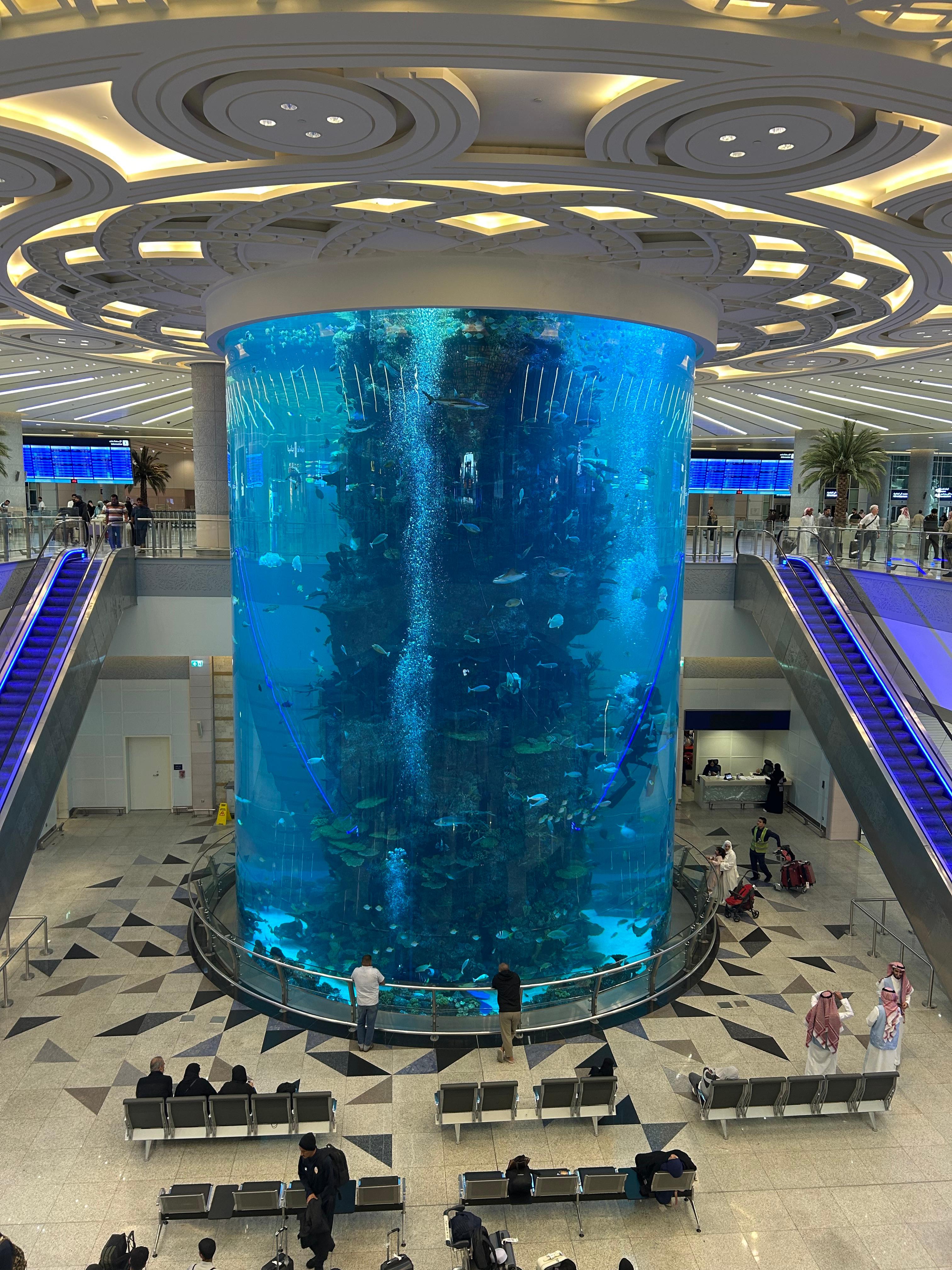 제다 공항 수족관