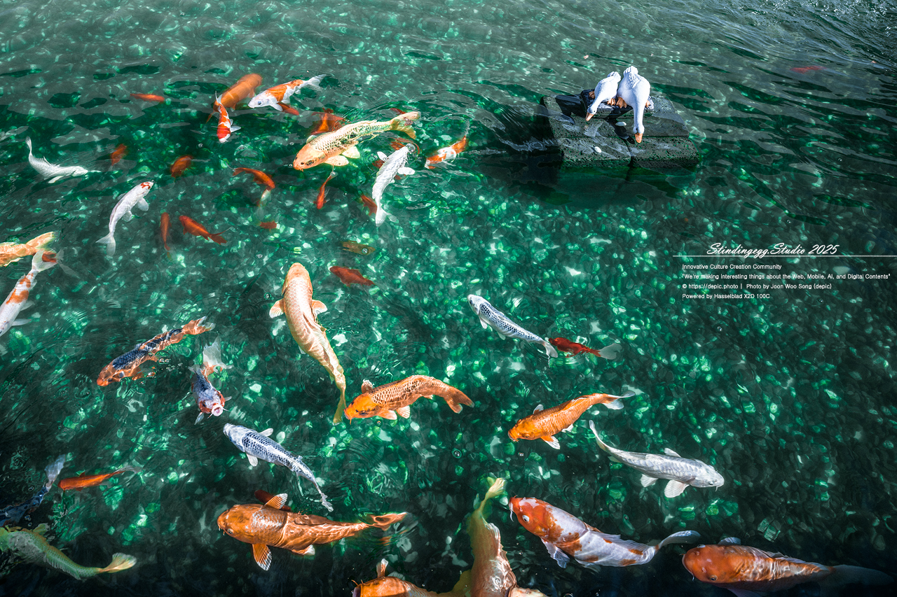 #괴산 #해듬카페 #카페 #커피 #빵 #베이커리