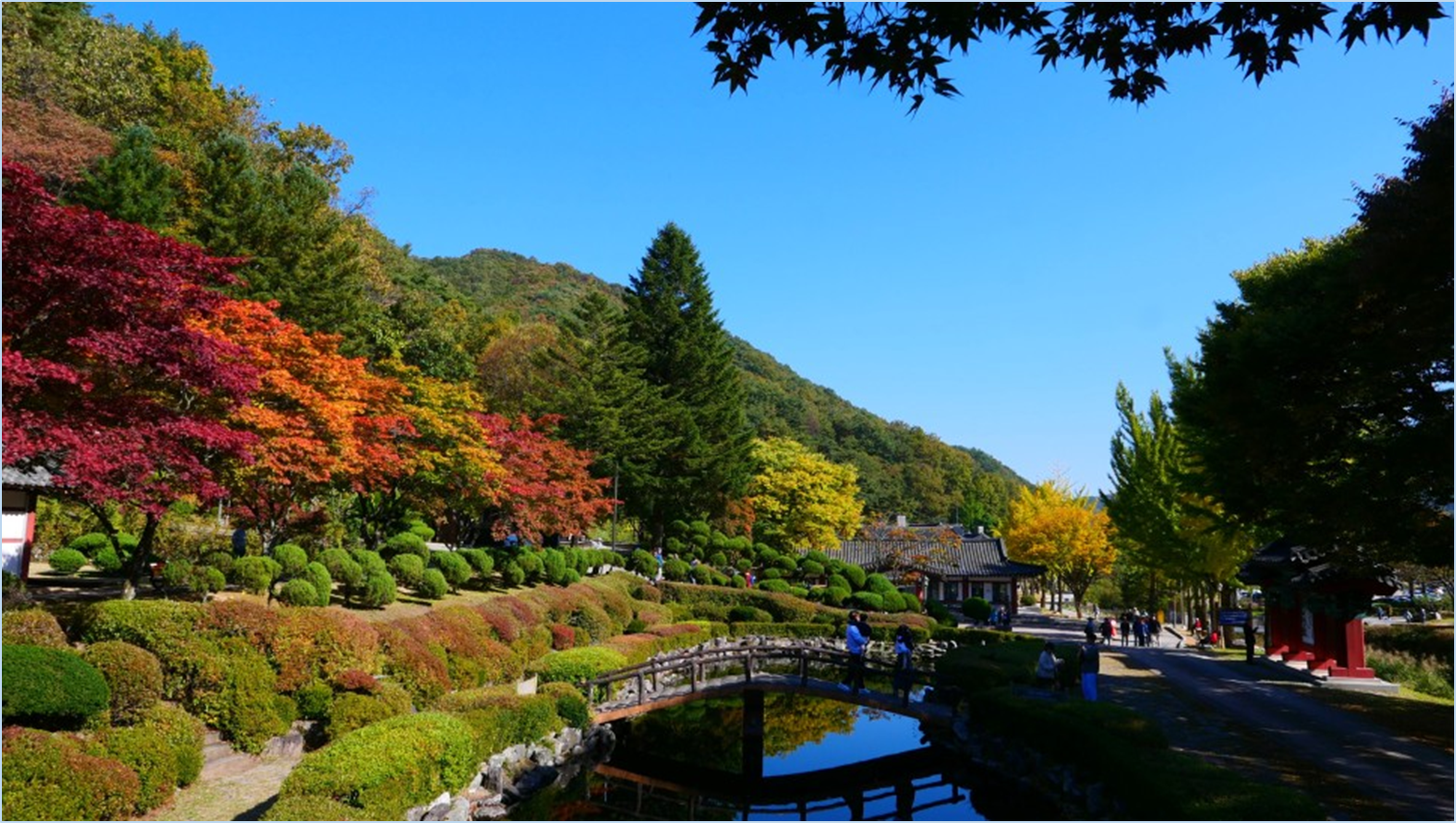 2023-가을-단풍축제-절정시기