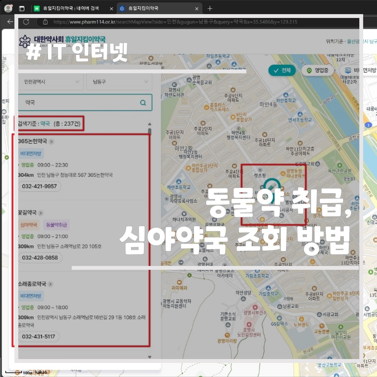 동물약 취급, 심야 약국 조회 방법 썸네일