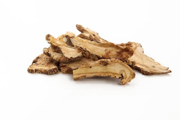 당귀 뿌리 사진